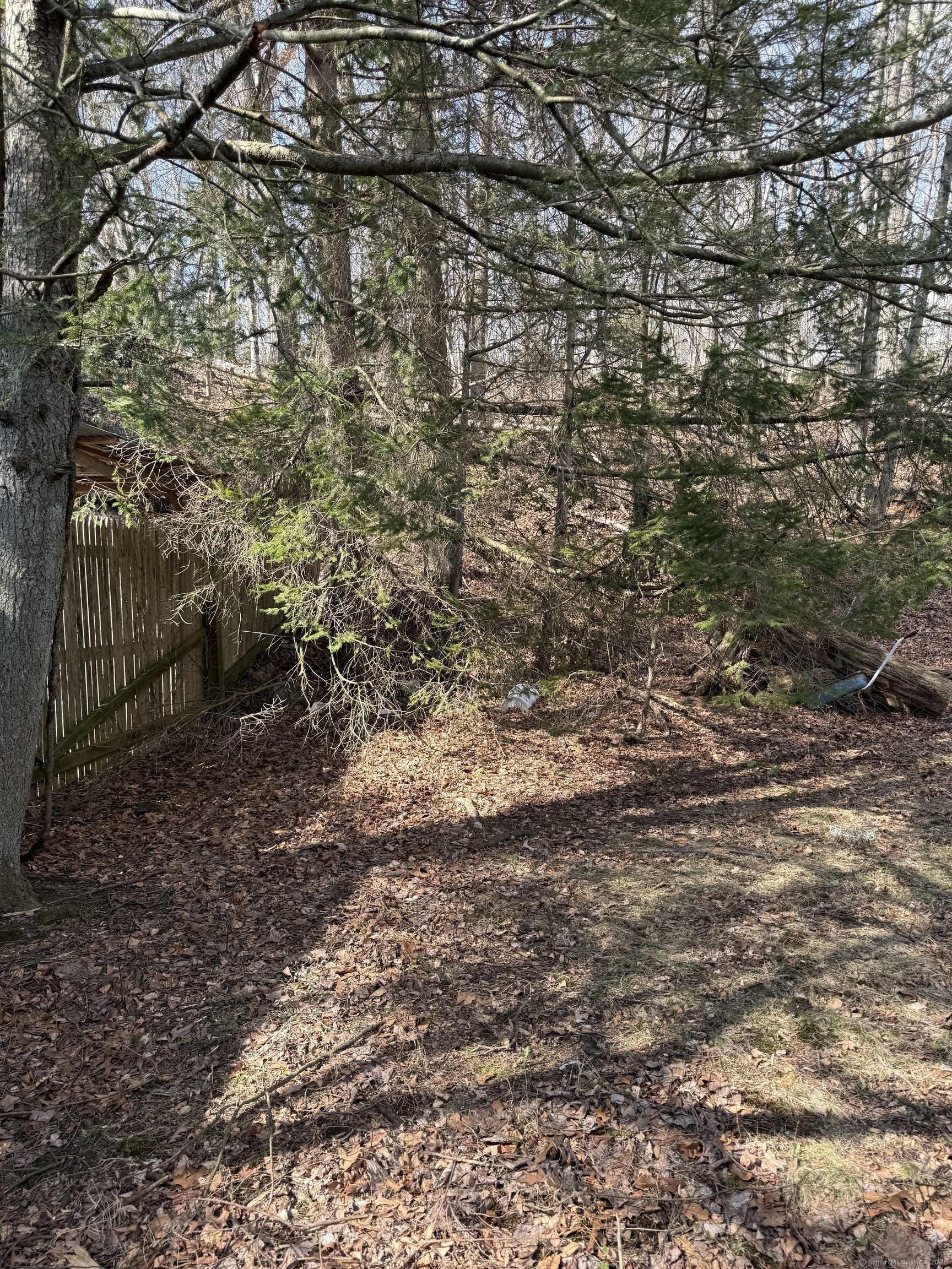 50 Laurel Avenue, Derby, Connecticut image 9