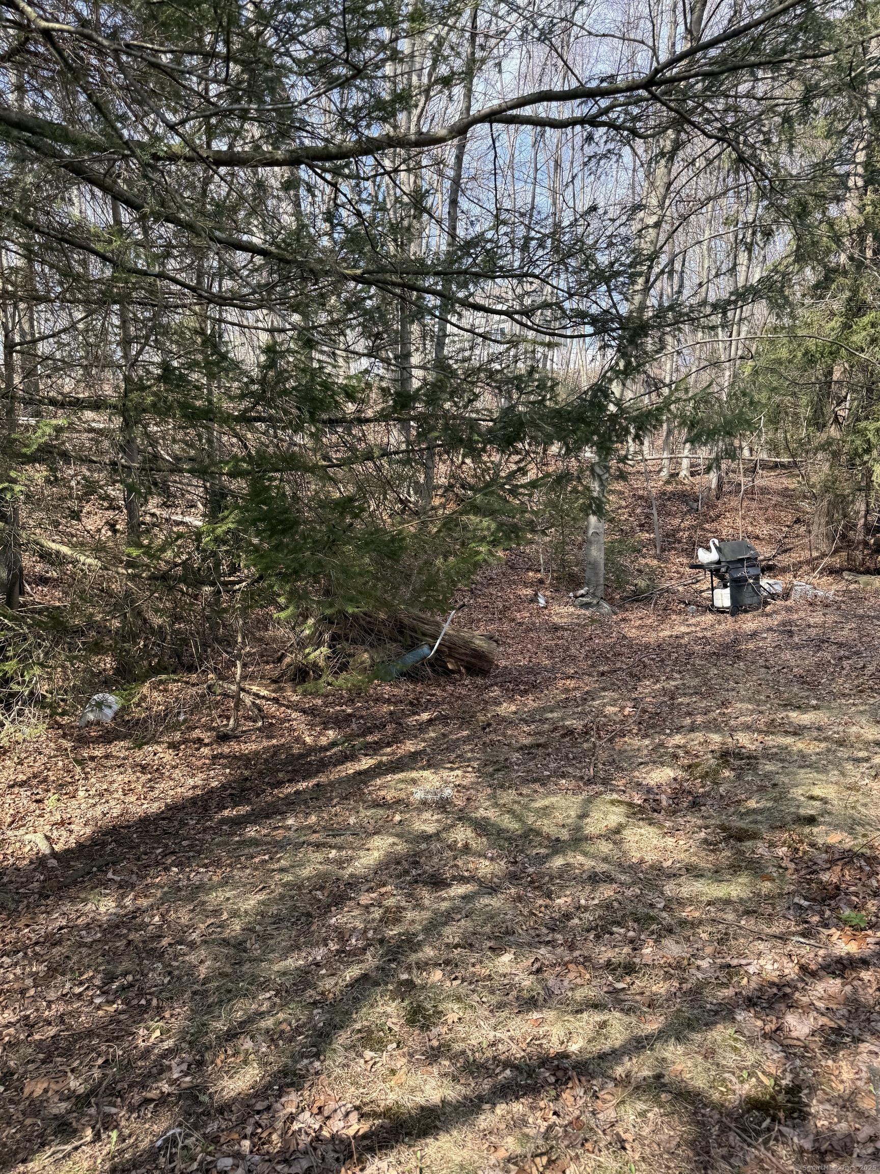50 Laurel Avenue, Derby, Connecticut image 10