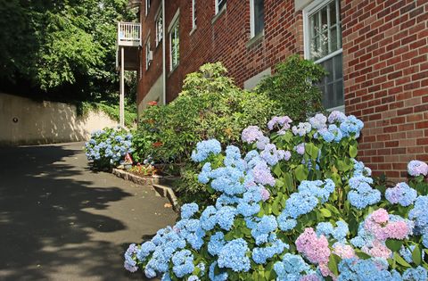 A home in New Canaan