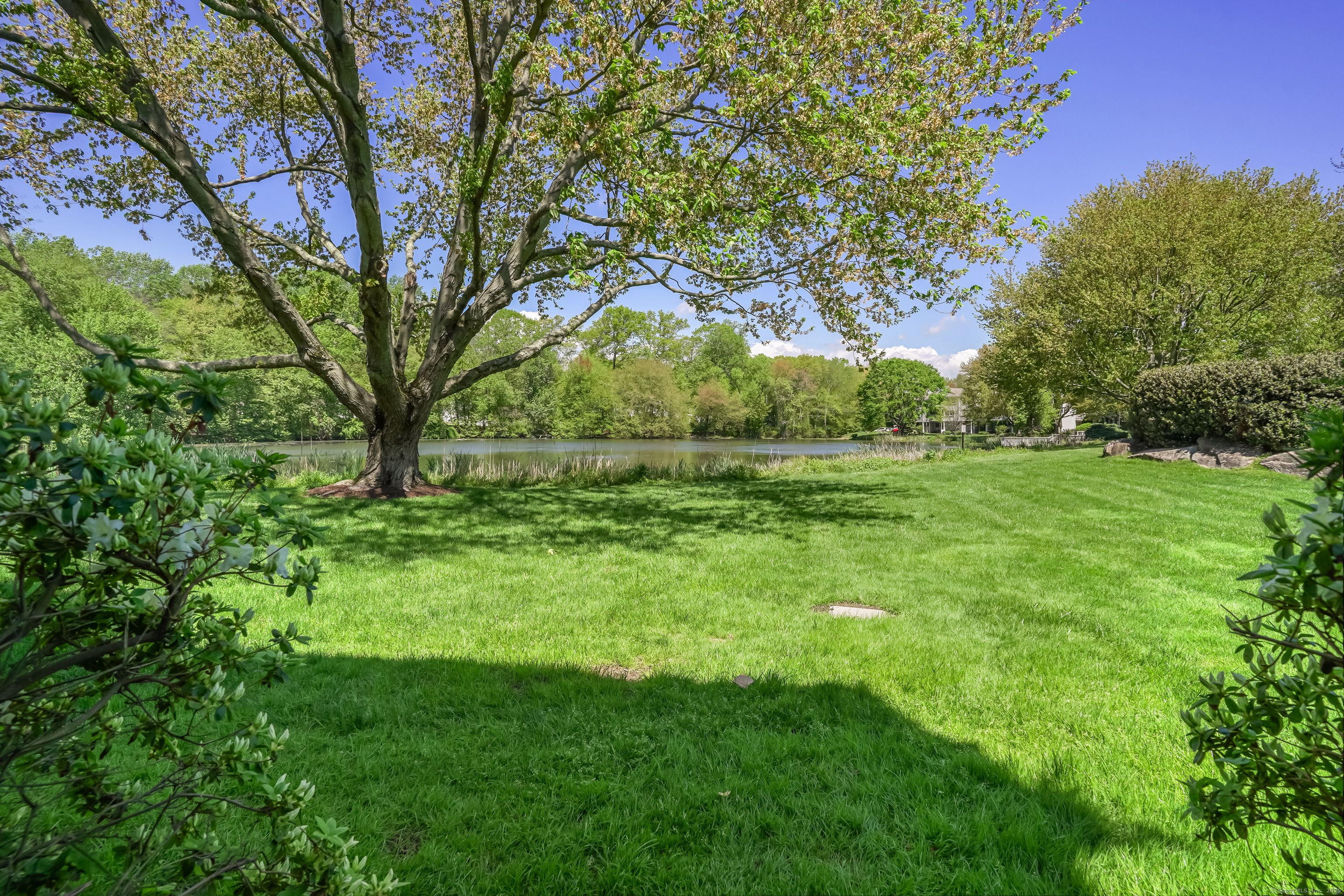 147 Rowayton Woods Drive #147, Norwalk, Connecticut image 21