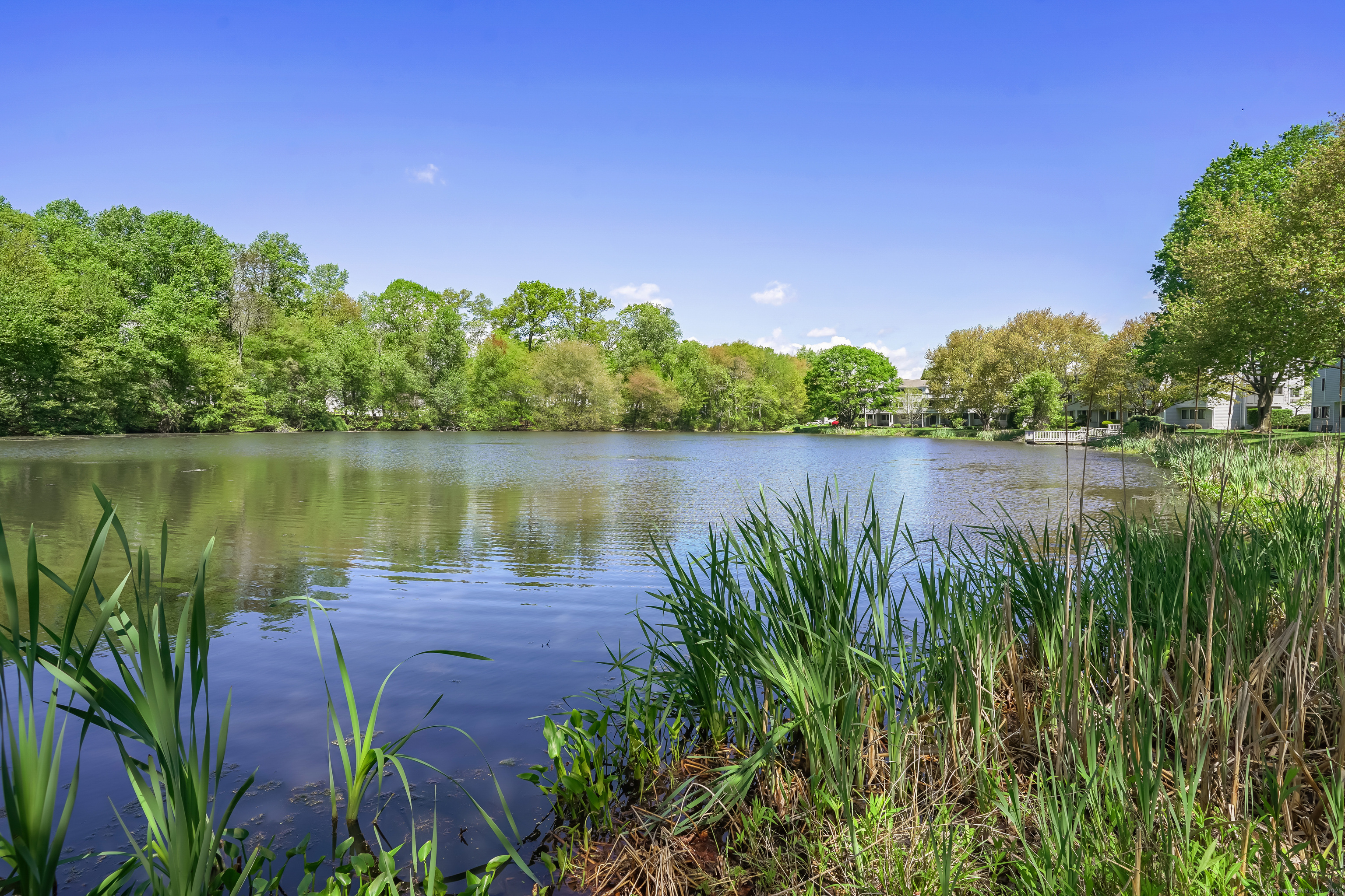 147 Rowayton Woods Drive #147, Norwalk, Connecticut image 22