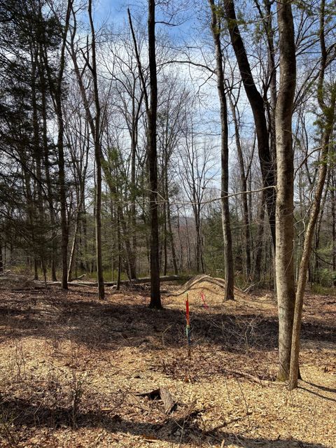 Lot 4 Chalybes Road West Roxbury CT 06783