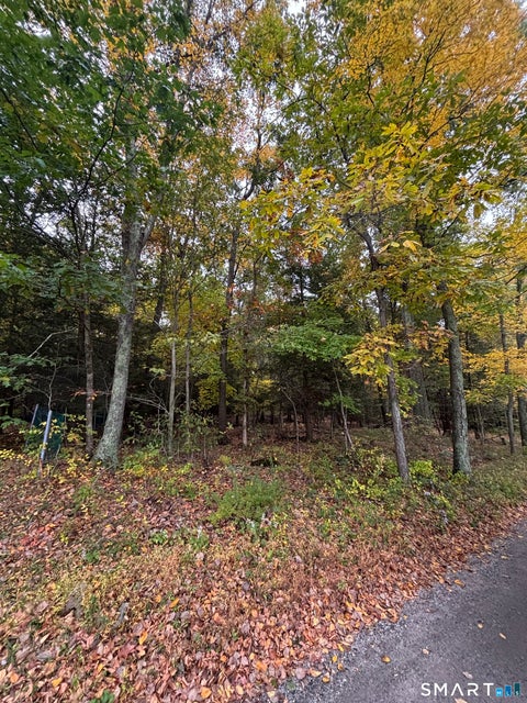 Tiny photo for 101 Shinar Mountain Road, Washington, CT 06794 (MLS # 24214113)
