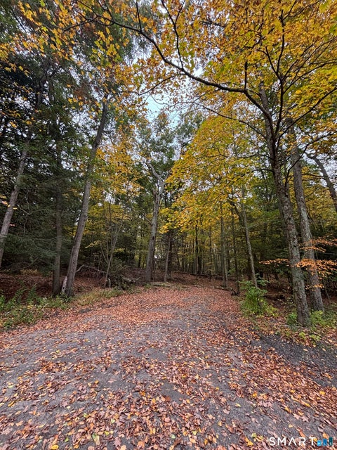 Photo of 101 Shinar Mountain Road, Washington, CT 06794 (MLS # 24214113)