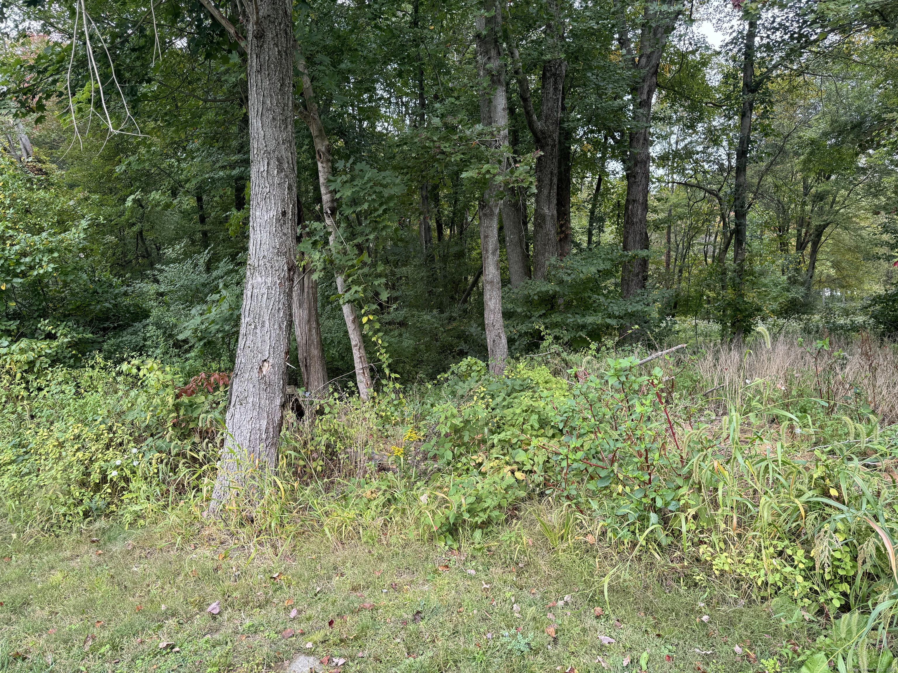 64 Columbine Road, Tolland, Connecticut image 4