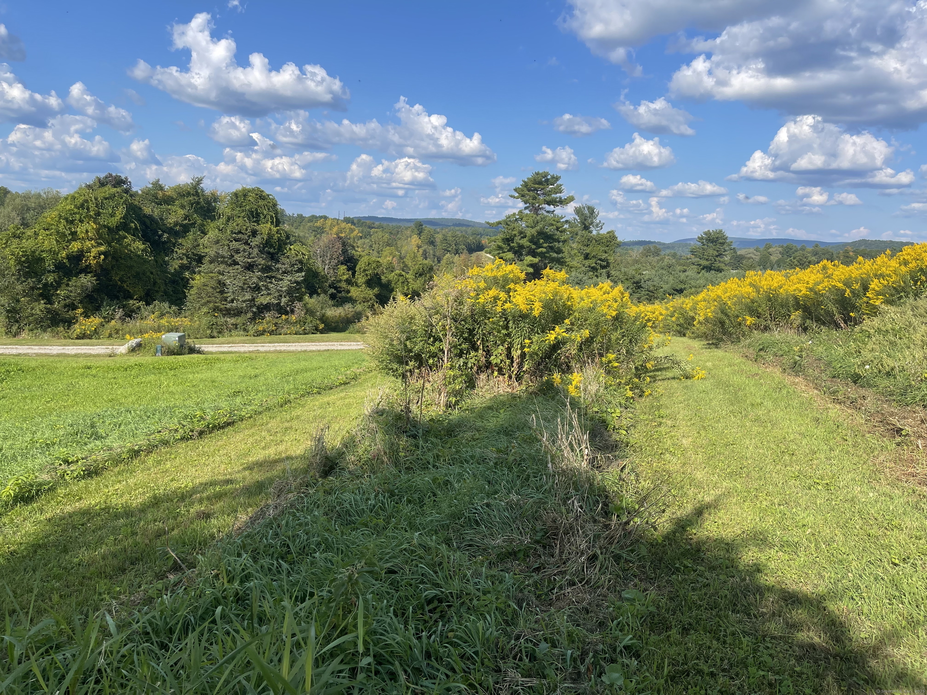 14 Red Mountain Road, Salisbury, Connecticut image 11