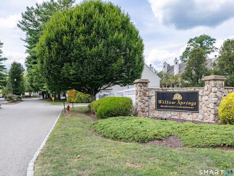 Tiny photo for 31 Willow Springs #31, New Milford, CT 06776 (MLS # 24146660)