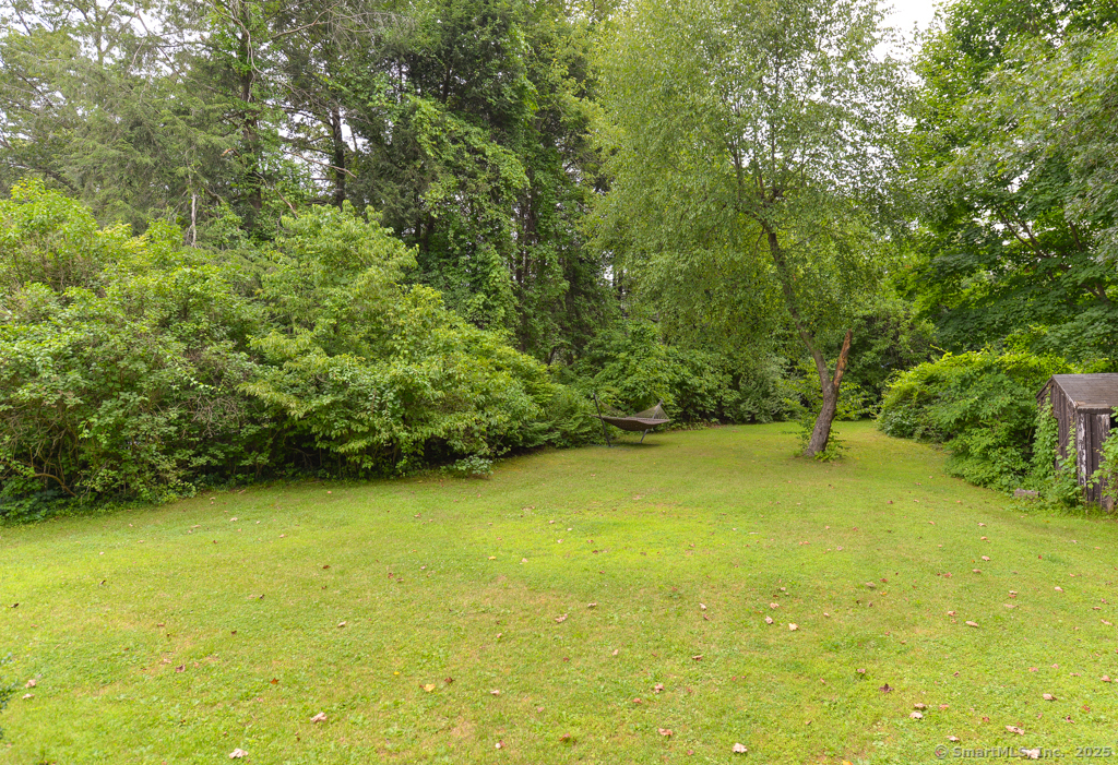 215 White Birch Drive