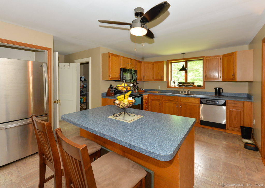 215 White Birch Drive