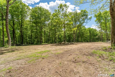 Tiny photo for 259 Quarry Road, Woodstock, CT 06281 (MLS # 24177130)