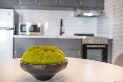 Tiny photo for 94 Washington Street #APT 6, Norwalk, CT 06854 (MLS # 24157100)