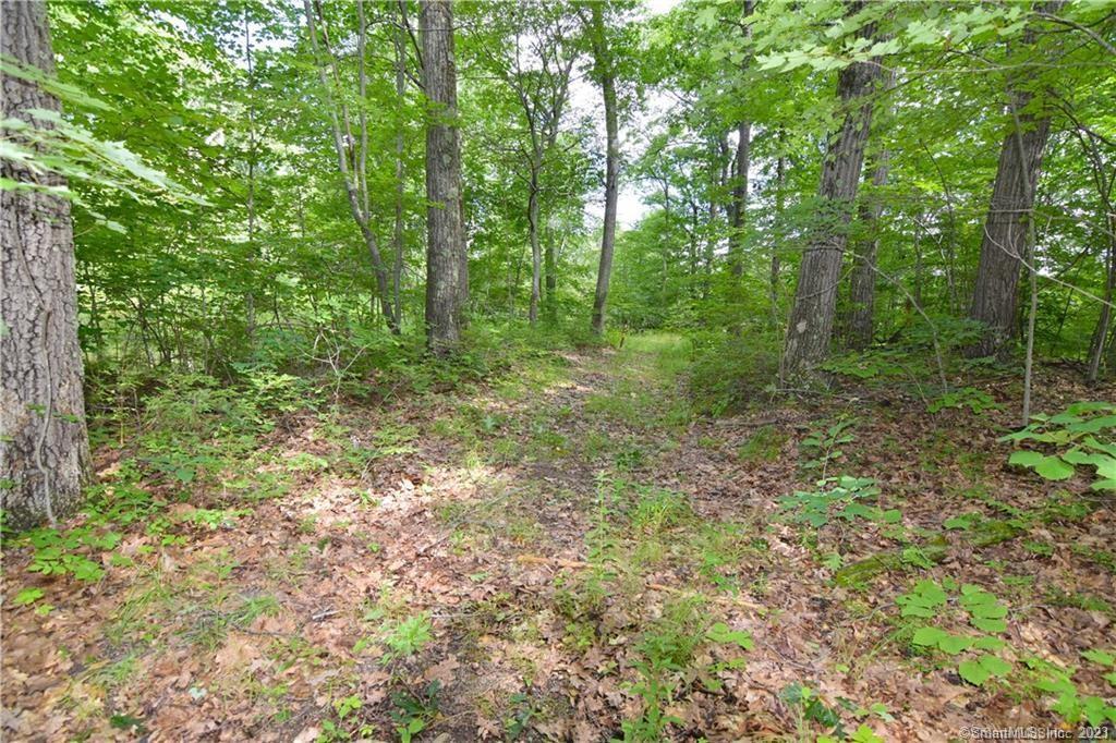 Bucks Hill Road, Waterbury, Connecticut image 3