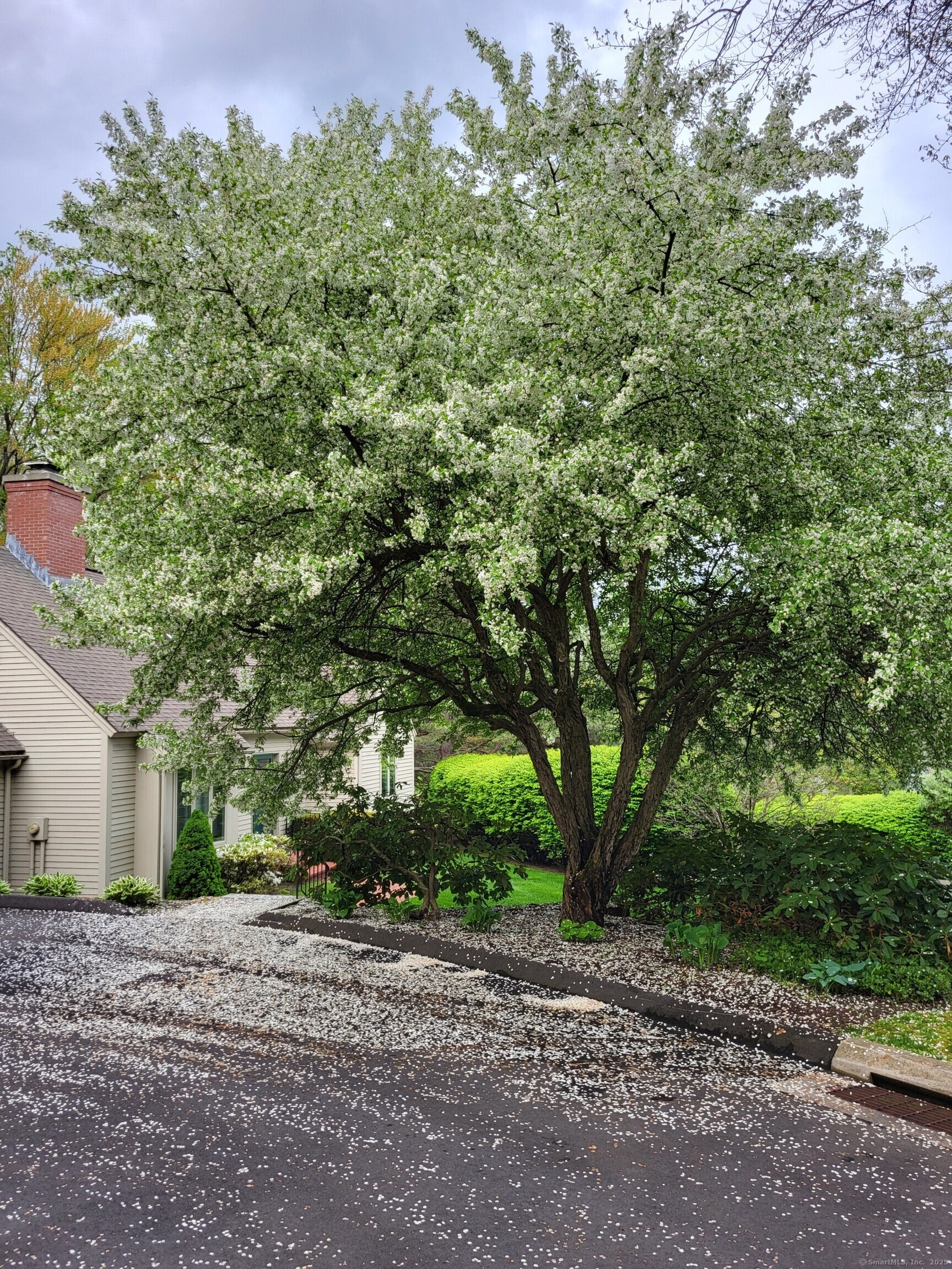 189 Red Stone Hill #17, Bristol, Connecticut image 35