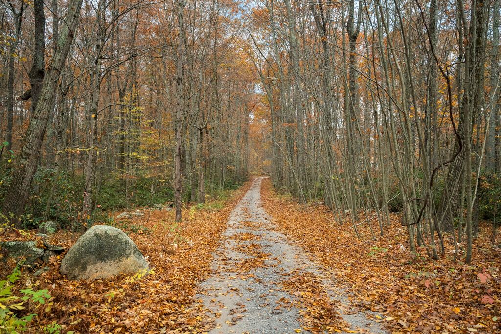 Photo of 101 Center Road, Woodstock, CT 06281 (MLS # 24144460)