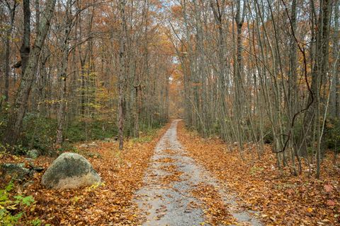 Tiny photo for 101 Center Road, Woodstock, CT 06281 (MLS # 24144460)