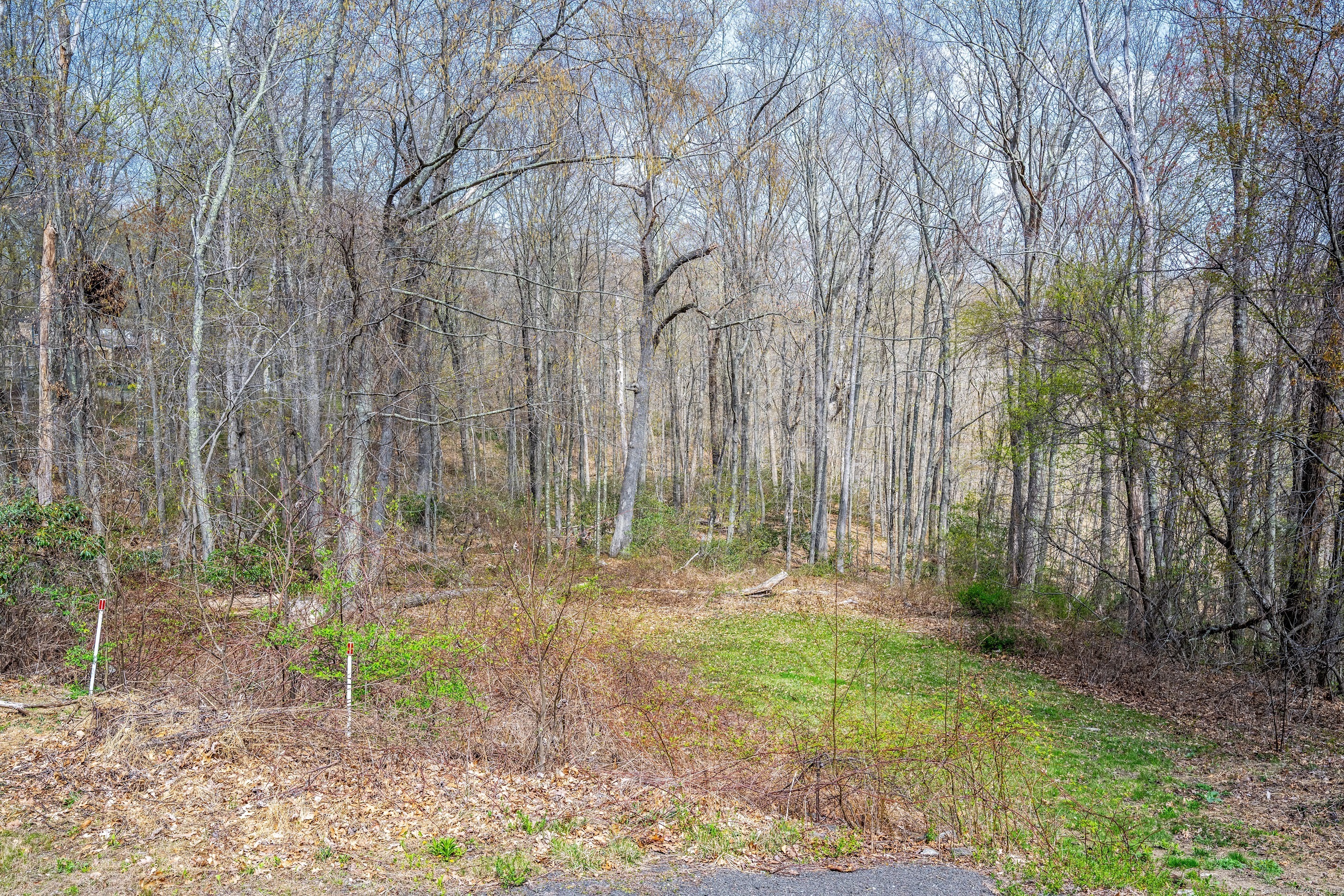 16 November Trail, Haddam, Connecticut image 5