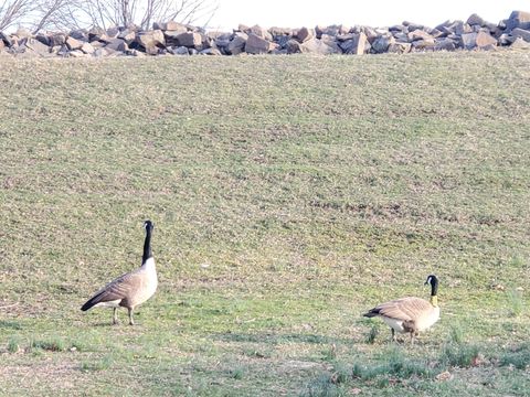 Tiny photo for 1093 Shippan Avenue, Stamford, CT 06902 (MLS # 24149622)