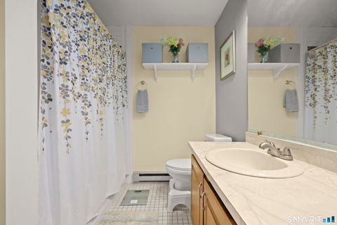 Tiny photo for 237 Willow Springs #237, New Milford, CT 06776 (MLS # 24166602)