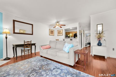 Tiny photo for 237 Willow Springs #237, New Milford, CT 06776 (MLS # 24166602)