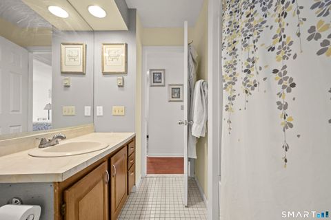 Tiny photo for 237 Willow Springs #237, New Milford, CT 06776 (MLS # 24166602)