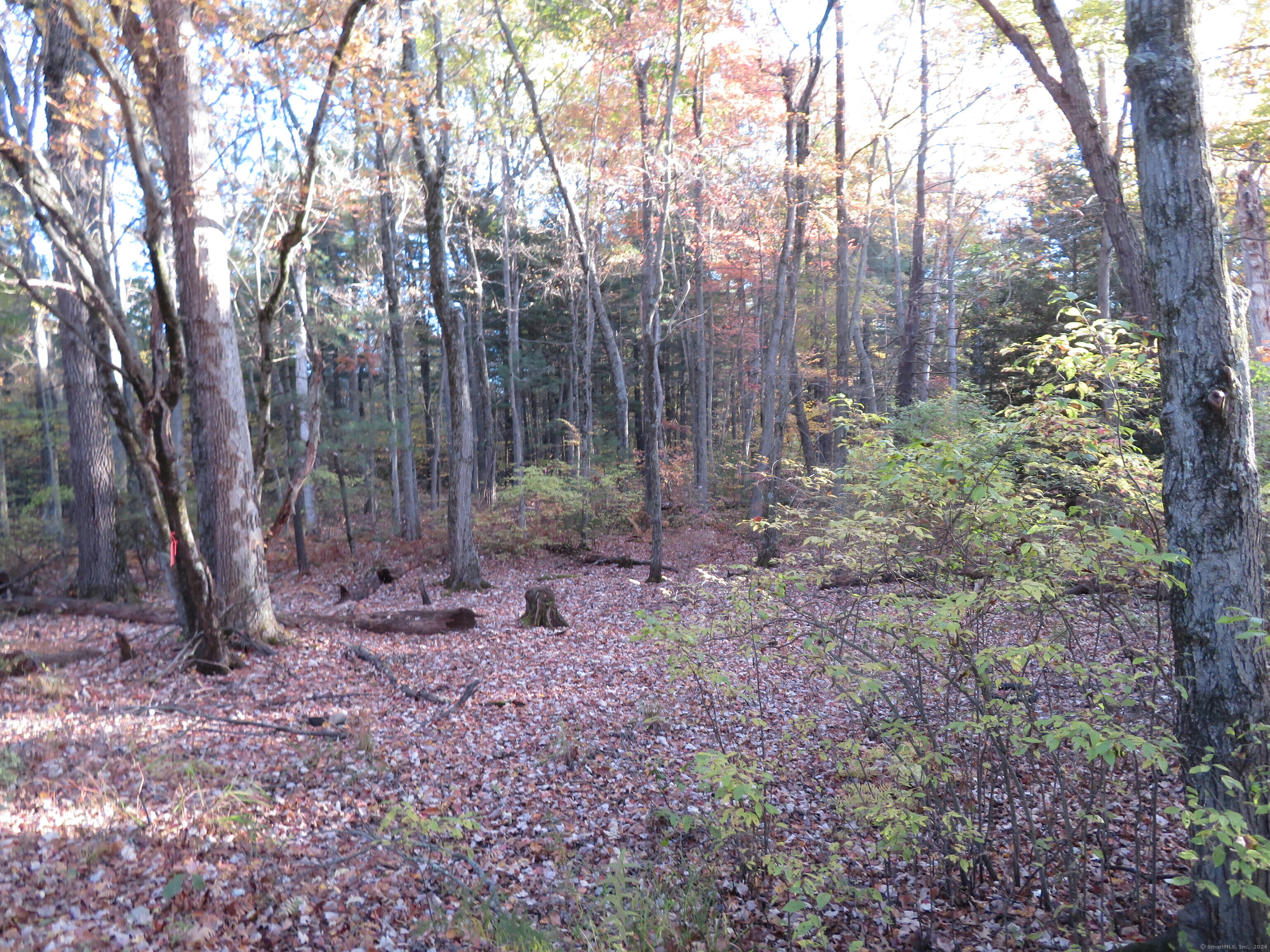 E Road, East Windsor, Connecticut image 3