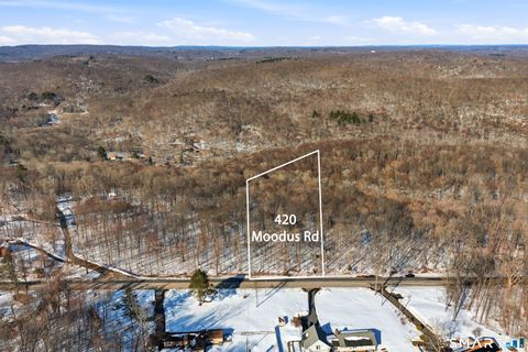 Vacant Land For Sale - 420 Moodus Road<br/> East Hampton, CT 06424