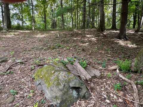 Tiny photo for 00 Sackett Hill Road, Warren, CT 06754 (MLS # 24136766)