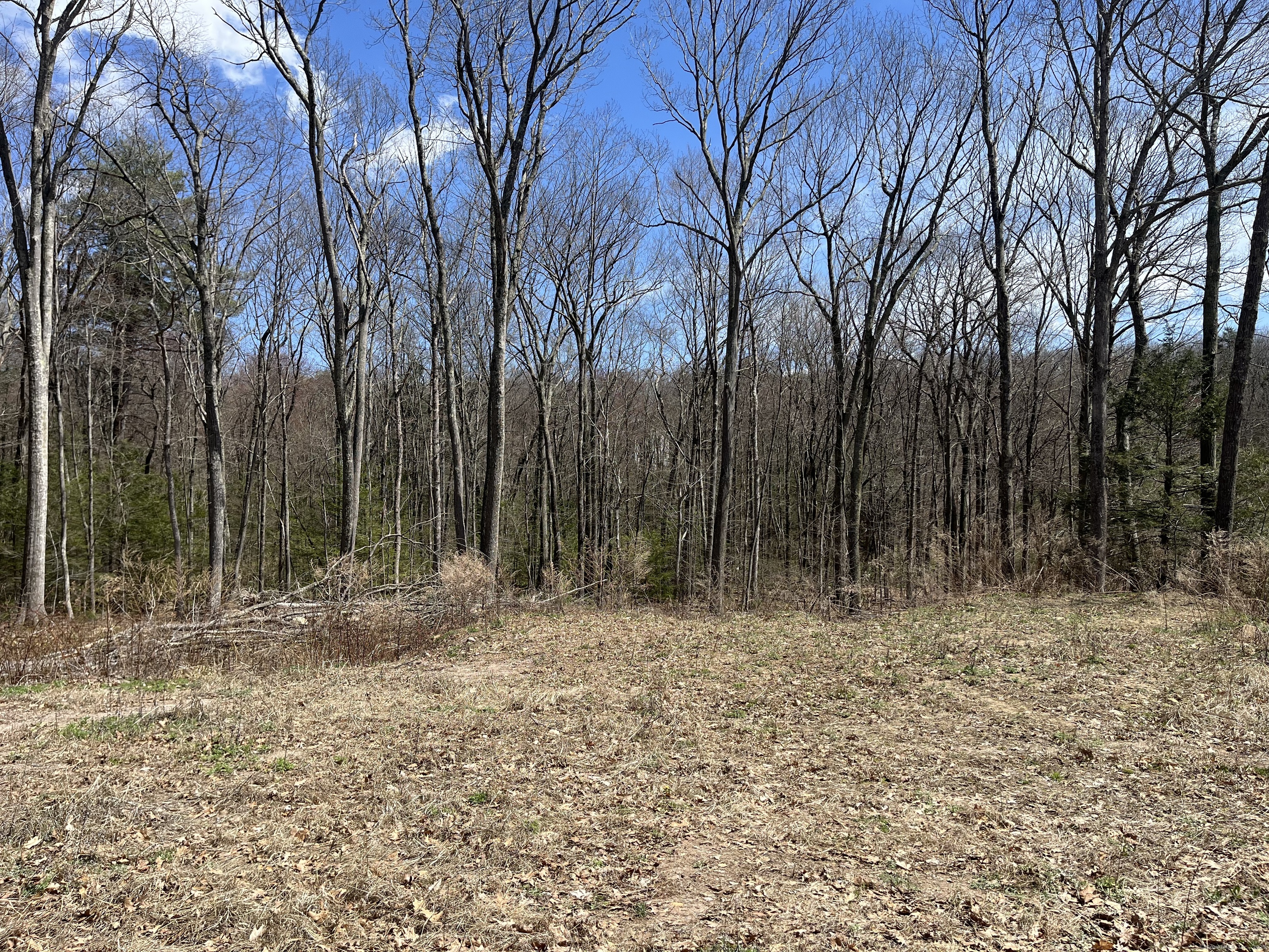 124 Hollister Drive, Avon, Connecticut image 3