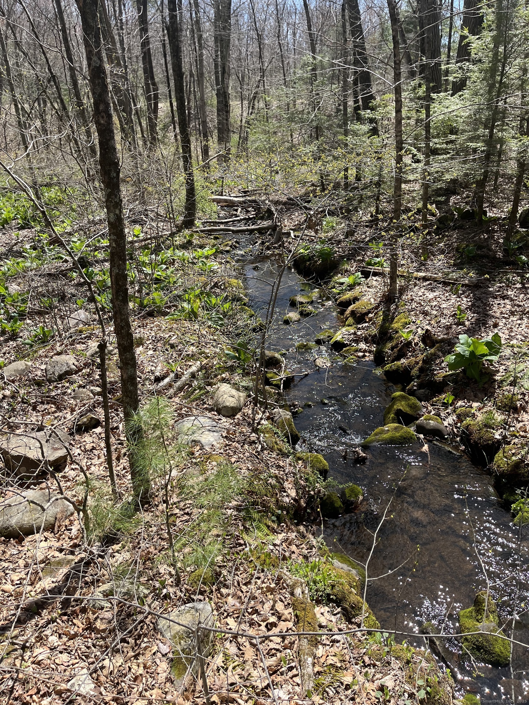 124 Hollister Drive, Avon, Connecticut image 4