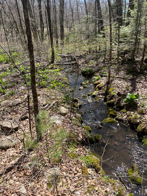 Tiny photo for 124 Hollister Drive, Avon, CT 06001 (MLS # 24090800)