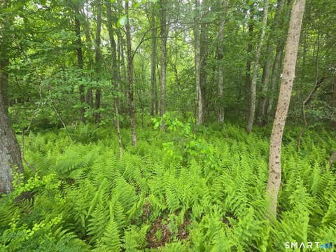 Tiny photo for Boston Hill Road, Andover, CT 06232 (MLS # 24180106)