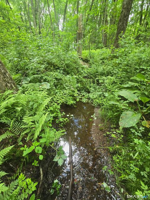 Tiny photo for Boston Hill Road, Andover, CT 06232 (MLS # 24180106)
