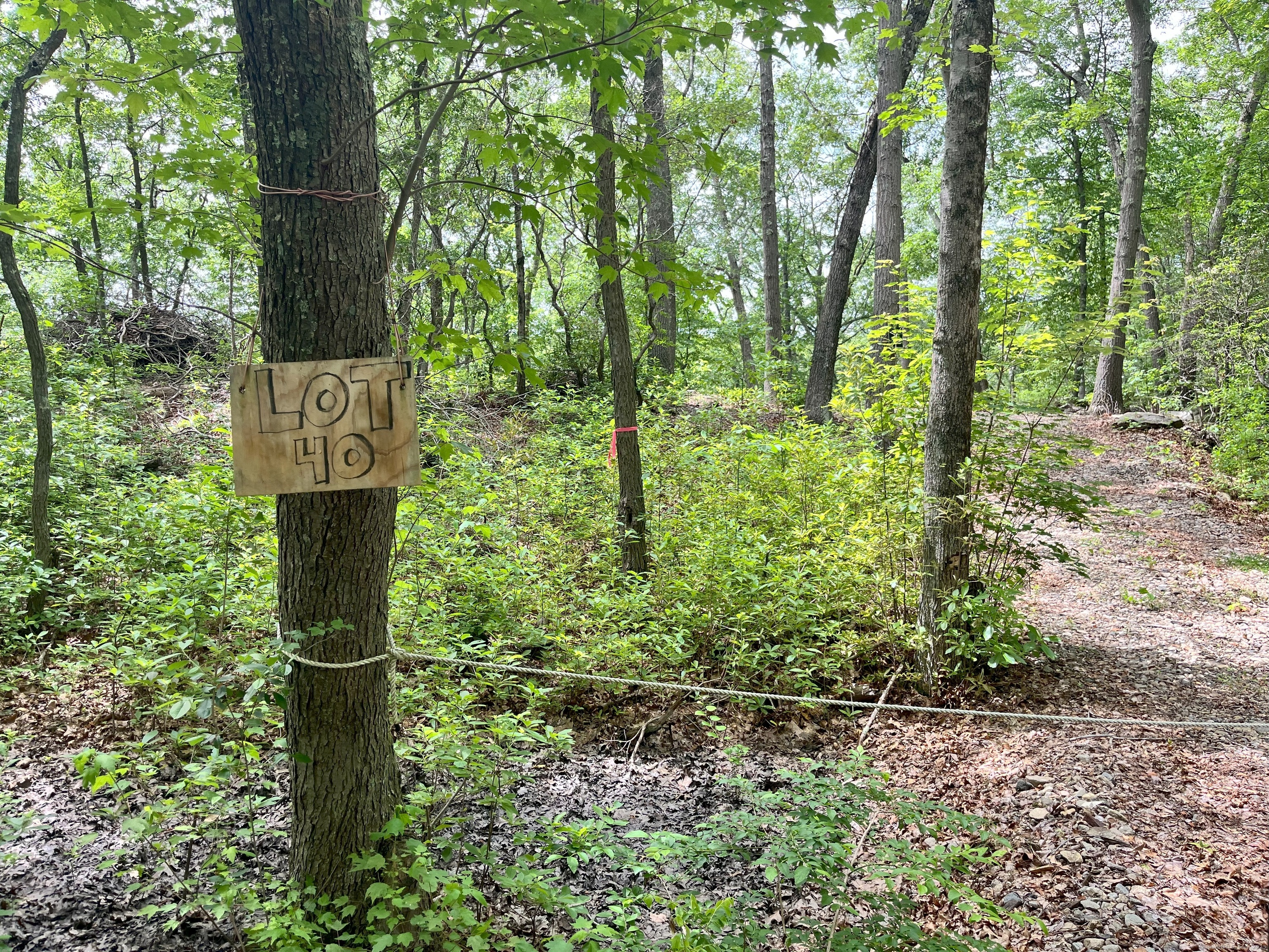 40 & 42 Old Cart Road