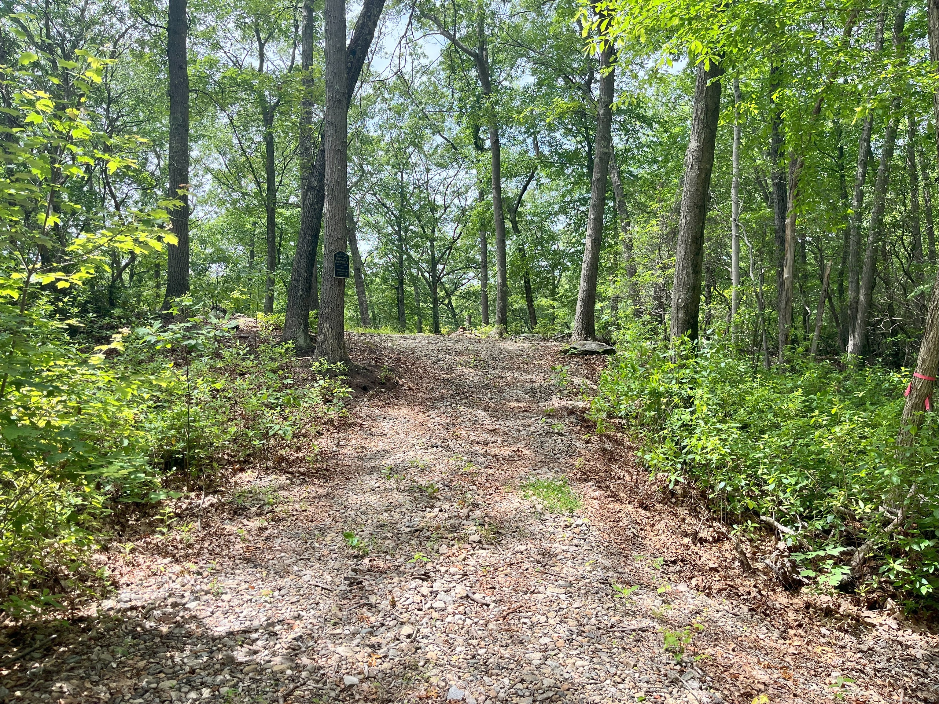 40 & 42 Old Cart Road