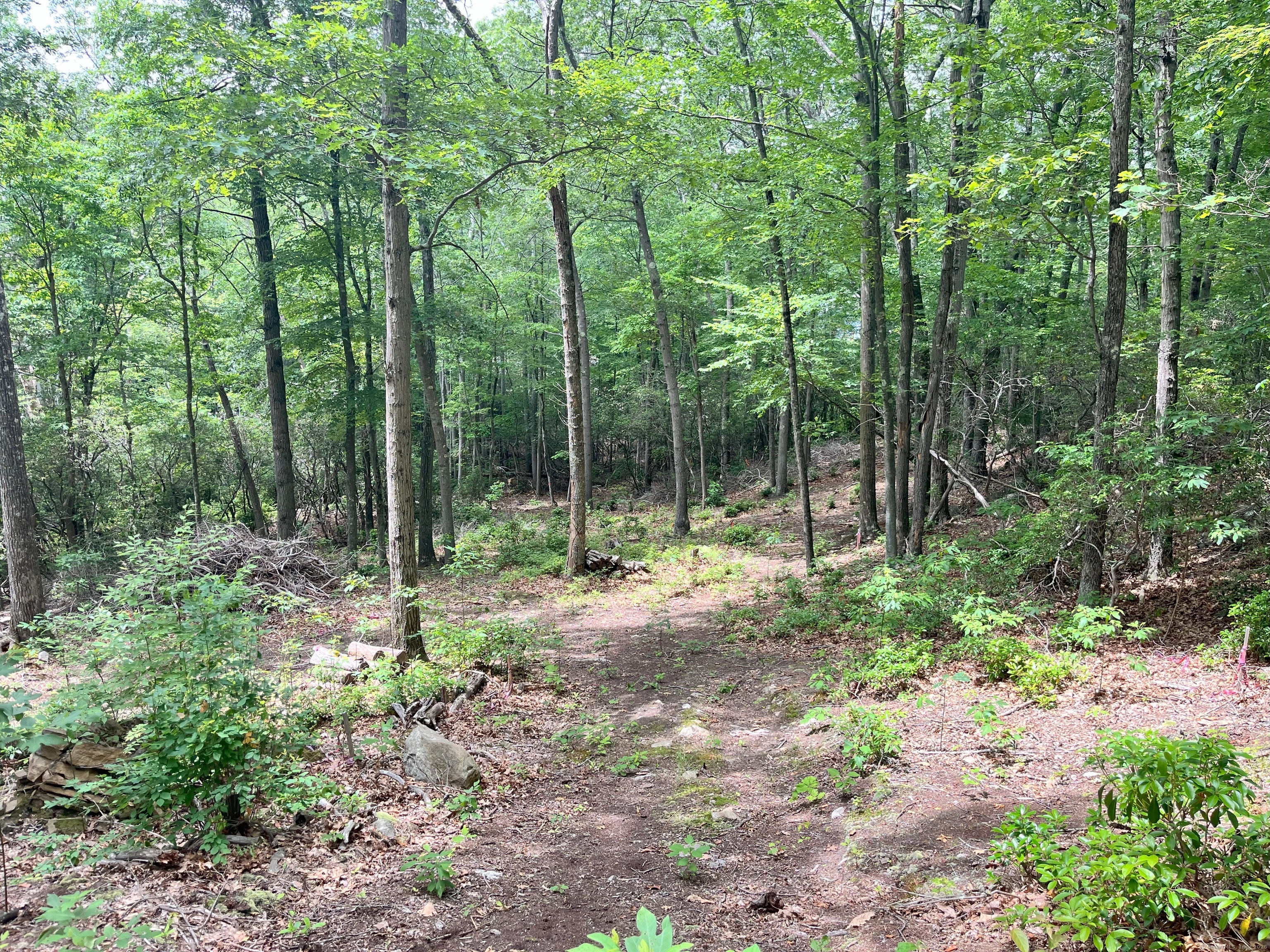 40 & 42 Old Cart Road