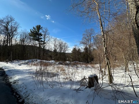 Tiny photo for 13 Meadow Street, New Hartford, CT 06057 (MLS # 24157334)