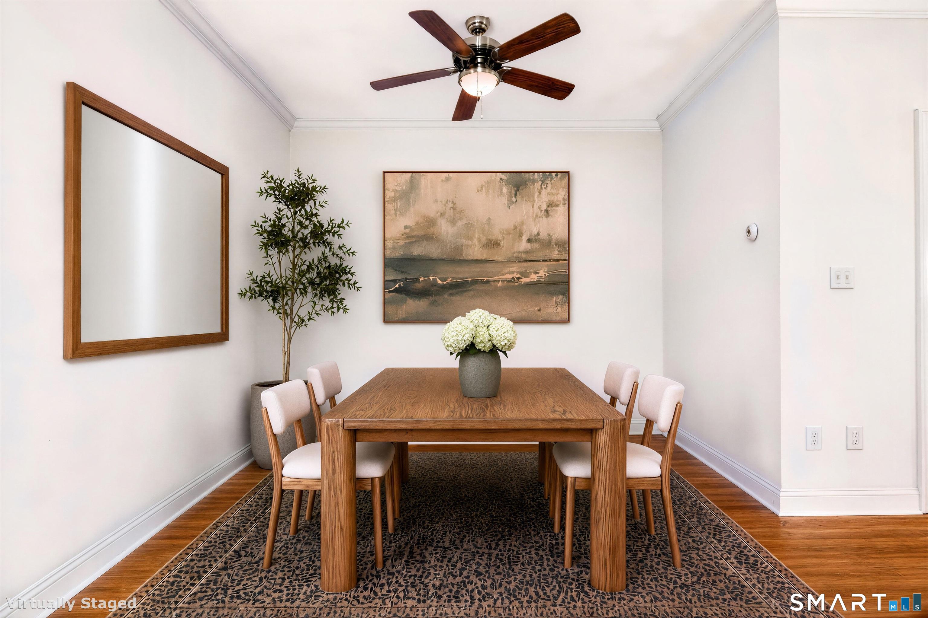 49 Harold Street 2