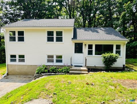 Photo of 51 Birchwood Road, Monroe, CT 06468 (MLS # 24192220)