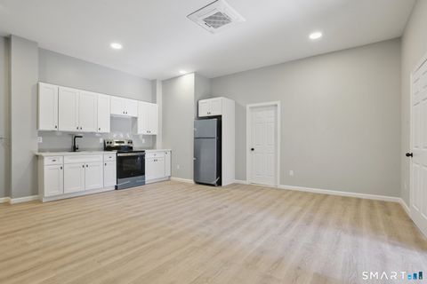 Tiny photo for 215 Bank Street #2, New London, CT 06320 (MLS # 24159863)