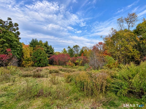 Tiny photo for 738 North Street, Goshen, CT 06756 (MLS # 24213591)
