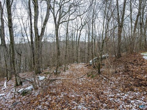 Photo of 574 Washington Road, Plymouth, CT 06786 (MLS # 24148233)