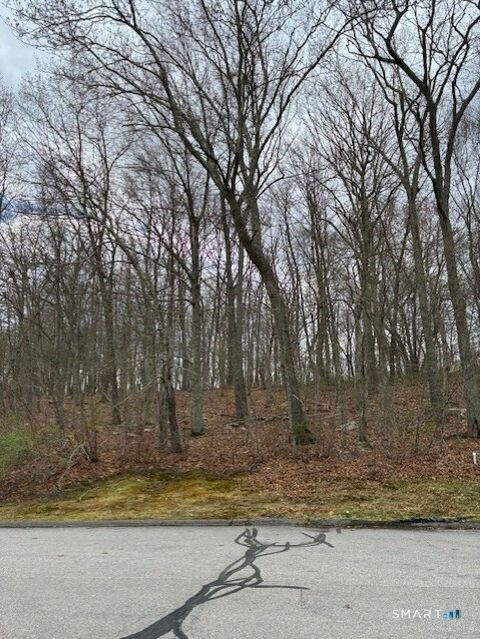Tiny photo for 13 Tuckers Run, Ledyard, CT 06339 (MLS # 24168168)