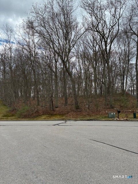 Photo of 13 Tuckers Run, Ledyard, CT 06339 (MLS # 24168168)