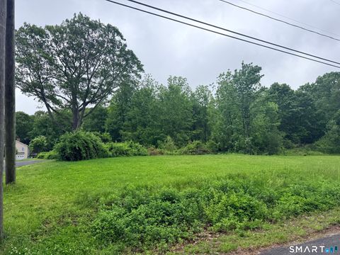 Photo of 132 Florence Street, Winchester, CT 06098 (MLS # 24179755)