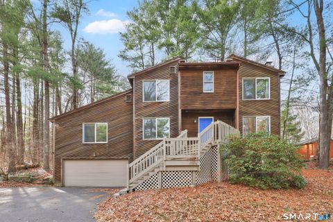 31 Woodduck Farms Road Windsor CT 06095