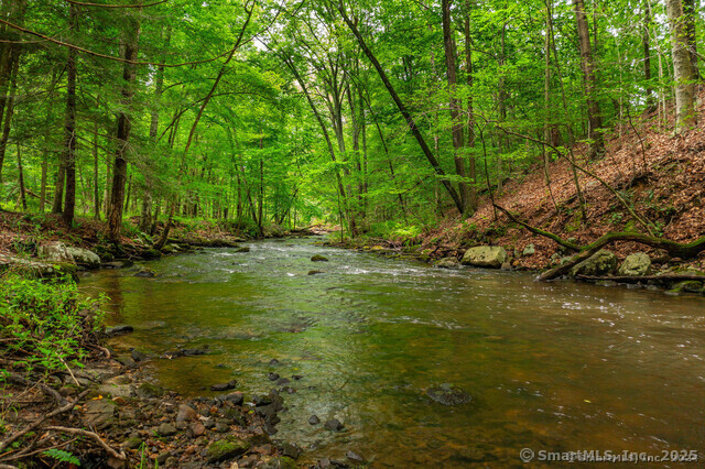 159 Merryall Road, New Milford, Connecticut image 6