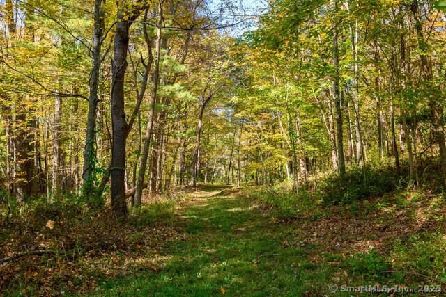 159 Merryall Road, New Milford, Connecticut image 5