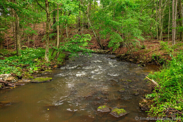 159 Merryall Road, New Milford, Connecticut image 26