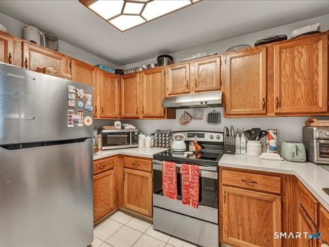 Tiny photo for 75 Willow Springs #75, New Milford, CT 06776 (MLS # 24151053)