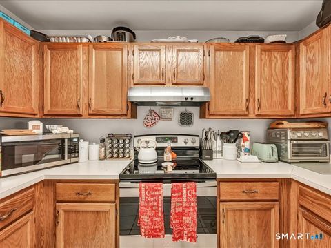 Tiny photo for 75 Willow Springs #75, New Milford, CT 06776 (MLS # 24151053)